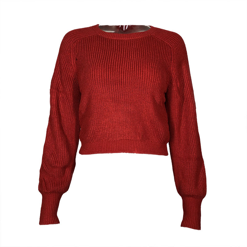 Rib Crop Crew Neck Sweater  |  Womens Sweaters & Cardigans Sweaters & Cardigans delphi blue